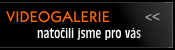 Videogalerie